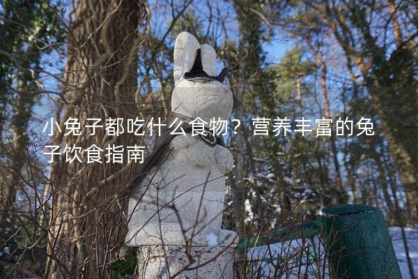 小兔子都吃什么食物？营养丰富的兔子饮食指南