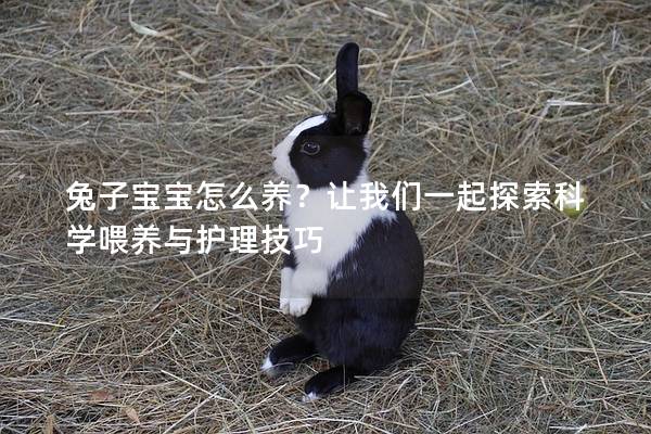 兔子宝宝怎么养？让我们一起探索科学喂养与护理技巧
