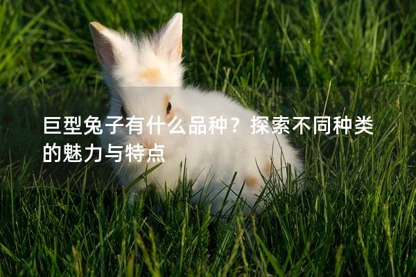 巨型兔子有什么品种？探索不同种类的魅力与特点