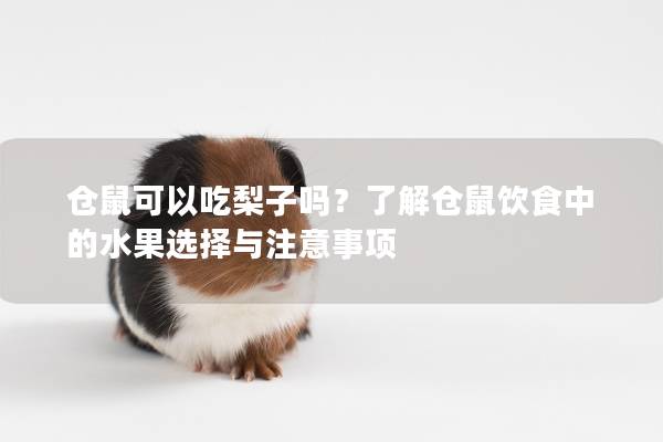 仓鼠可以吃梨子吗？了解仓鼠饮食中的水果选择与注意事项