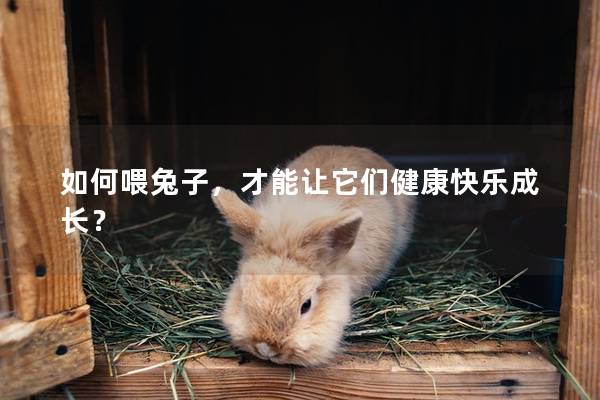 如何喂兔子，才能让它们健康快乐成长？