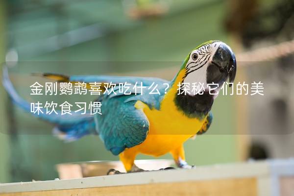 金刚鹦鹉喜欢吃什么？探秘它们的美味饮食习惯
