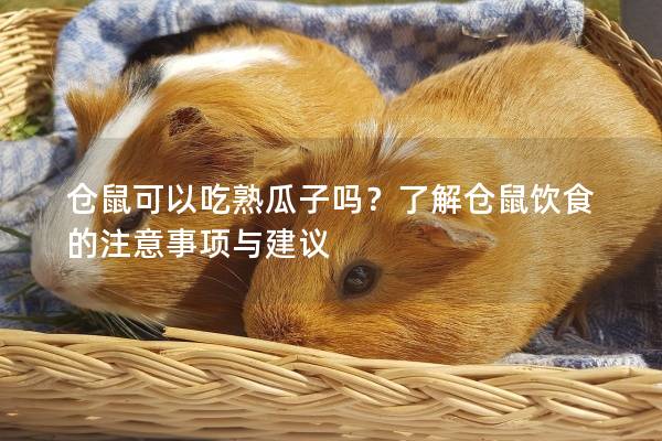 仓鼠可以吃熟瓜子吗？了解仓鼠饮食的注意事项与建议