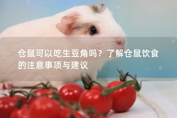 仓鼠可以吃生豆角吗？了解仓鼠饮食的注意事项与建议