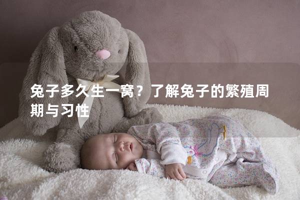 兔子多久生一窝？了解兔子的繁殖周期与习性
