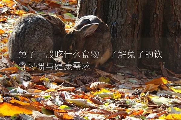 兔子一般吃什么食物，了解兔子的饮食习惯与健康需求