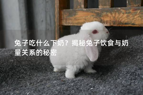 兔子吃什么下奶？揭秘兔子饮食与奶量关系的秘密