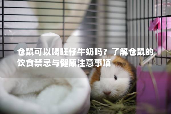 仓鼠可以喝旺仔牛奶吗？了解仓鼠的饮食禁忌与健康注意事项