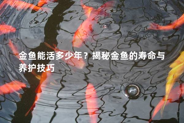 金鱼能活多少年？揭秘金鱼的寿命与养护技巧