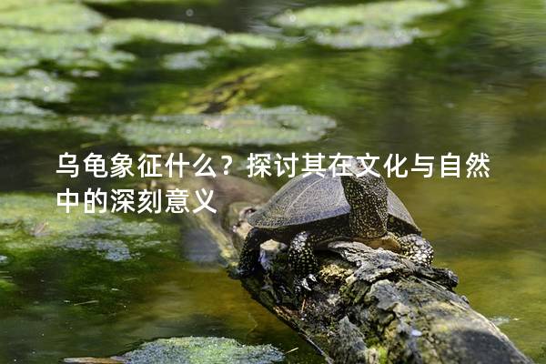 乌龟象征什么？探讨其在文化与自然中的深刻意义