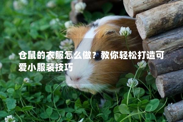 仓鼠的衣服怎么做？教你轻松打造可爱小服装技巧