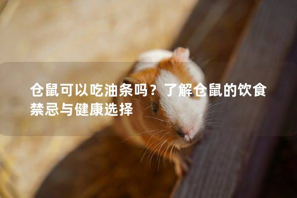 仓鼠可以吃油条吗？了解仓鼠的饮食禁忌与健康选择