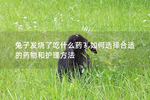 兔子发烧了吃什么药？如何选择合适的药物和护理方法