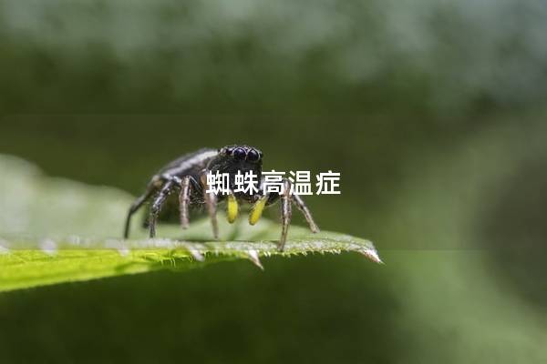 蜘蛛高温症