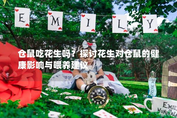 仓鼠吃花生吗？探讨花生对仓鼠的健康影响与喂养建议