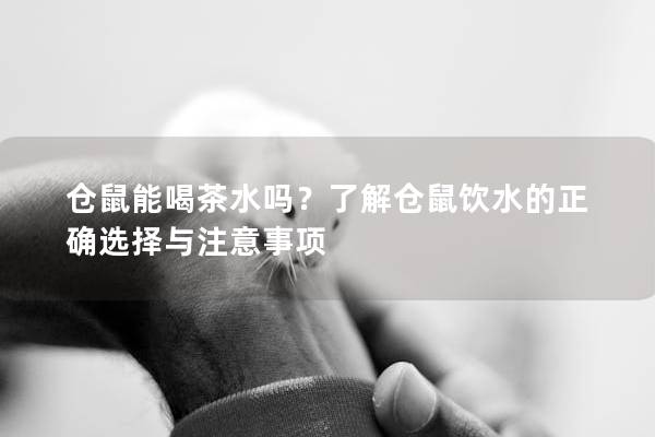 仓鼠能喝茶水吗？了解仓鼠饮水的正确选择与注意事项