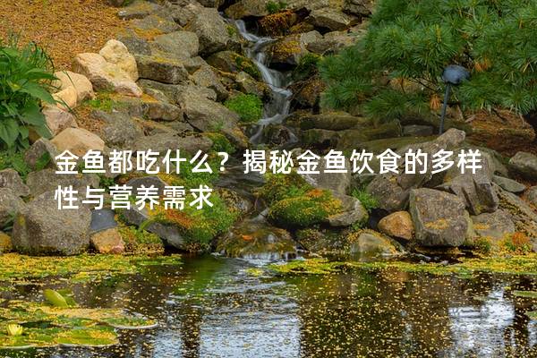 金鱼都吃什么？揭秘金鱼饮食的多样性与营养需求