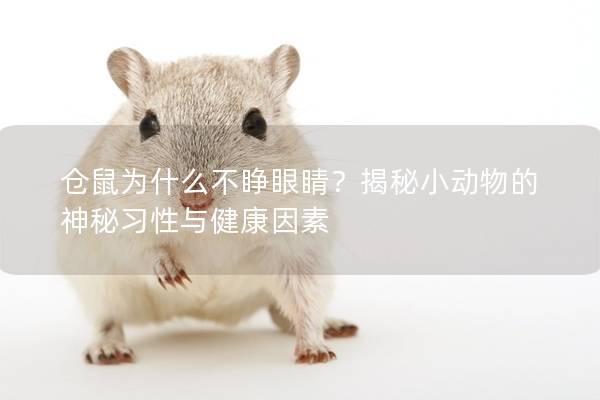 仓鼠为什么不睁眼睛？揭秘小动物的神秘习性与健康因素