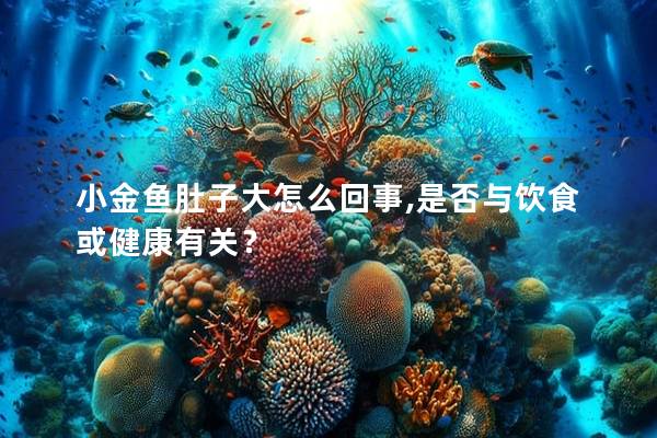 小金鱼肚子大怎么回事,是否与饮食或健康有关？