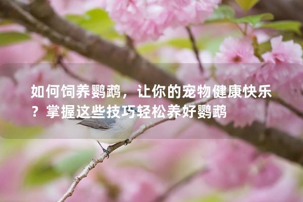 如何饲养鹦鹉，让你的宠物健康快乐？掌握这些技巧轻松养好鹦鹉