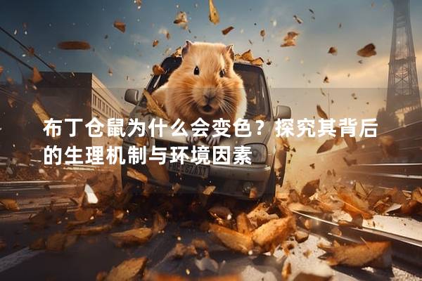 布丁仓鼠为什么会变色？探究其背后的生理机制与环境因素