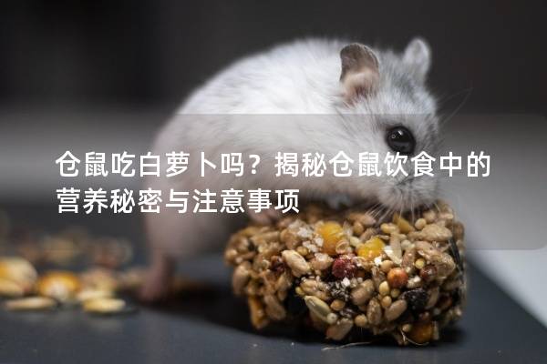 仓鼠吃白萝卜吗？揭秘仓鼠饮食中的营养秘密与注意事项