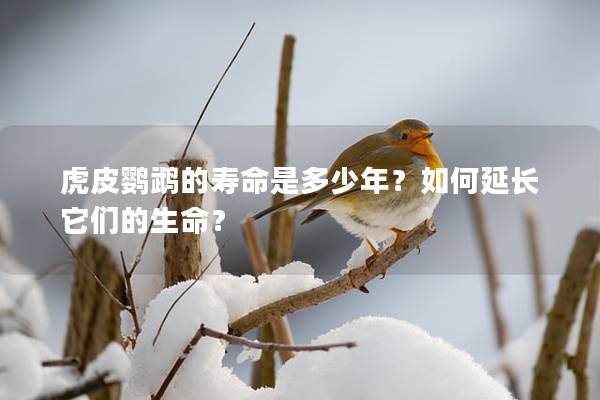 虎皮鹦鹉的寿命是多少年？如何延长它们的生命？