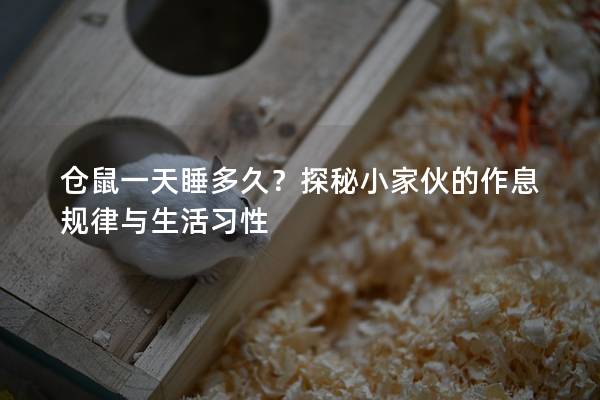 仓鼠一天睡多久？探秘小家伙的作息规律与生活习性