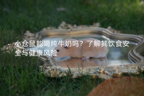 小仓鼠能喝纯牛奶吗？了解其饮食安全与健康风险