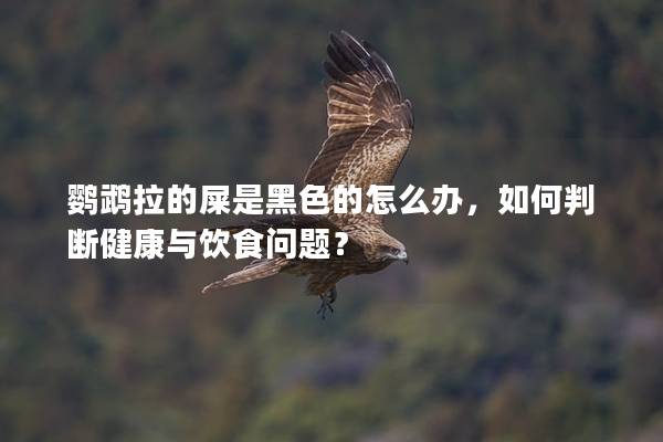 鹦鹉拉的屎是黑色的怎么办，如何判断健康与饮食问题？
