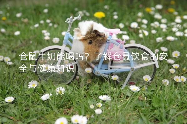 仓鼠牛奶能喝吗？了解仓鼠饮食的安全与健康知识
