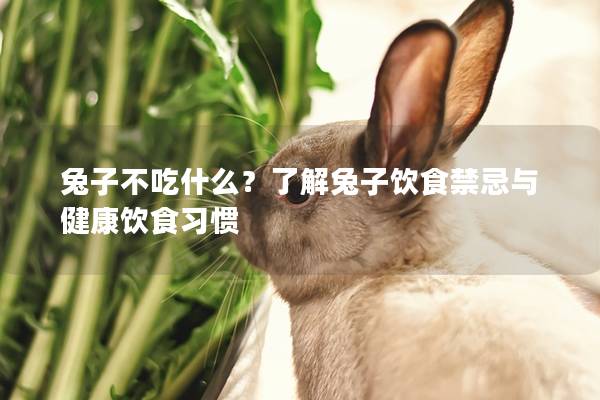 兔子不吃什么？了解兔子饮食禁忌与健康饮食习惯