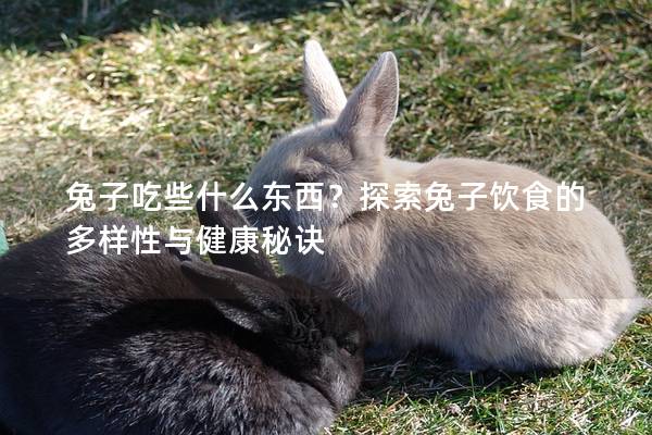 兔子吃些什么东西？探索兔子饮食的多样性与健康秘诀