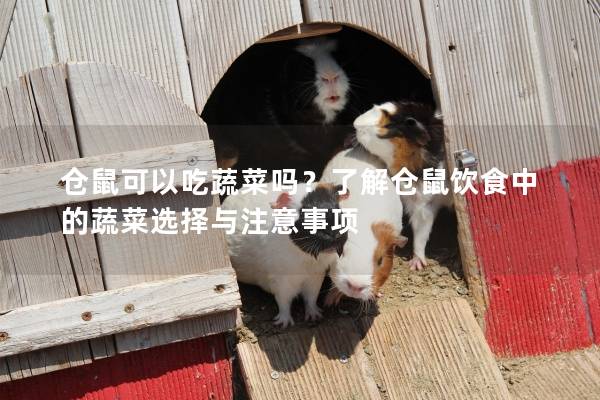 仓鼠可以吃蔬菜吗？了解仓鼠饮食中的蔬菜选择与注意事项