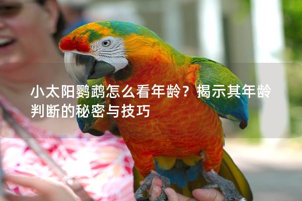小太阳鹦鹉怎么看年龄？揭示其年龄判断的秘密与技巧