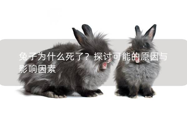 兔子为什么死了？探讨可能的原因与影响因素