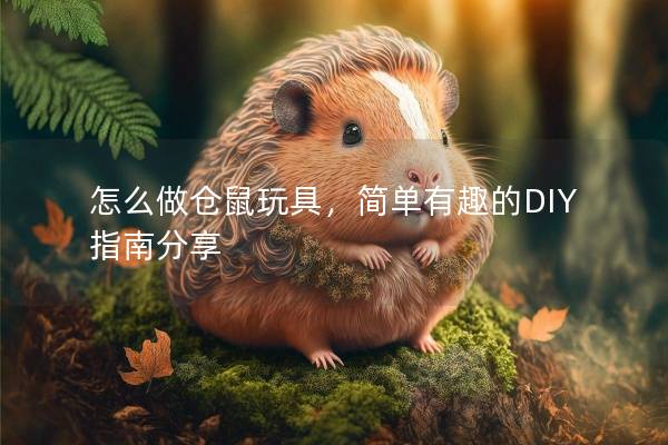 怎么做仓鼠玩具，简单有趣的DIY指南分享