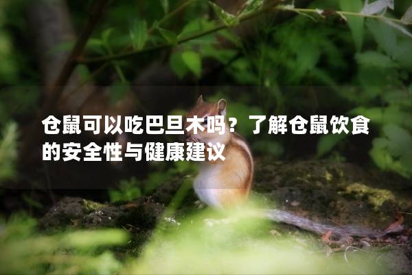 仓鼠可以吃巴旦木吗？了解仓鼠饮食的安全性与健康建议