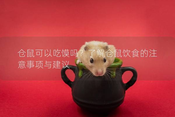 仓鼠可以吃馍吗？了解仓鼠饮食的注意事项与建议