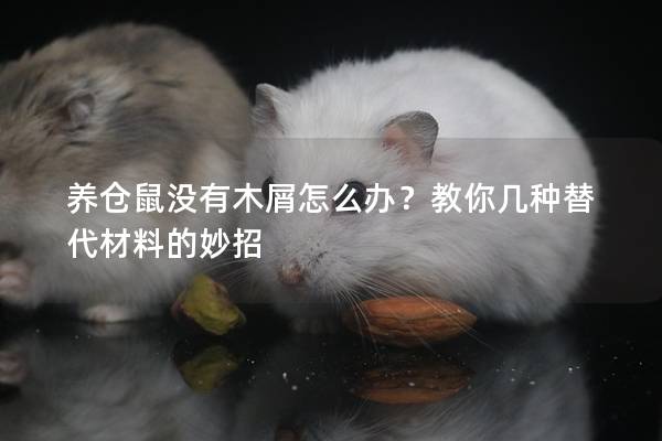 养仓鼠没有木屑怎么办？教你几种替代材料的妙招