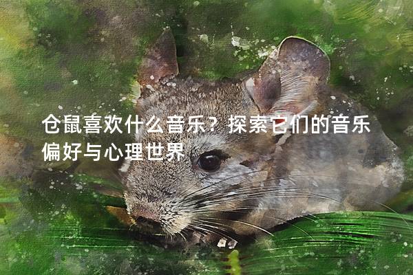 仓鼠喜欢什么音乐？探索它们的音乐偏好与心理世界