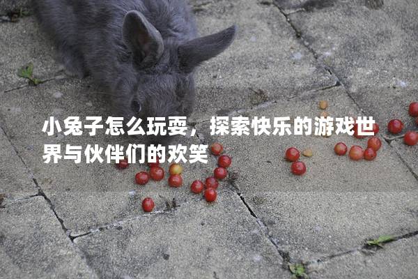 小兔子怎么玩耍，探索快乐的游戏世界与伙伴们的欢笑