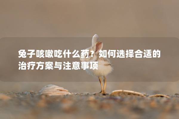 兔子咳嗽吃什么药？如何选择合适的治疗方案与注意事项