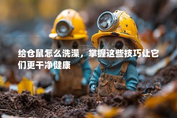 给仓鼠怎么洗澡，掌握这些技巧让它们更干净健康