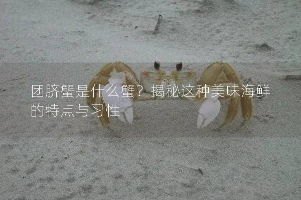 团脐蟹是什么蟹？揭秘这种美味海鲜的特点与习性