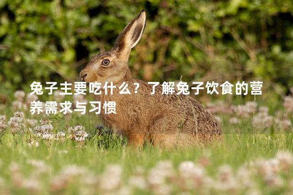 兔子主要吃什么？了解兔子饮食的营养需求与习惯