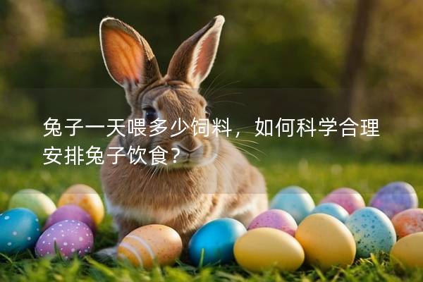 兔子一天喂多少饲料，如何科学合理安排兔子饮食？