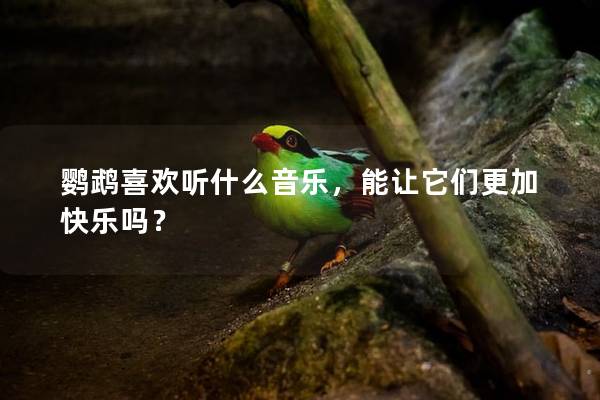 鹦鹉喜欢听什么音乐，能让它们更加快乐吗？