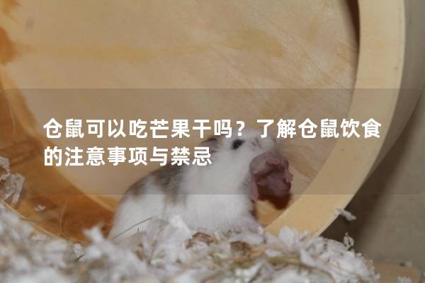 仓鼠可以吃芒果干吗？了解仓鼠饮食的注意事项与禁忌