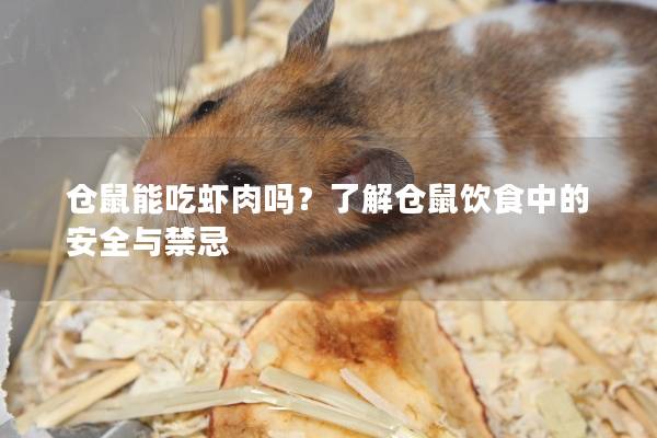 仓鼠能吃虾肉吗？了解仓鼠饮食中的安全与禁忌